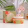 Jigott face cream with Hibiscus Flower Vital Cream hibiscus extract, 100 ml