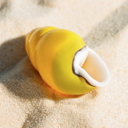 Decorative shell, 4-5 cm-2