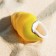 Decorative shell, 4-5 cm