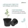 Pot for seedlings, 10 l, d = 29 cm, h = 22.5 cm, black, Greengo
