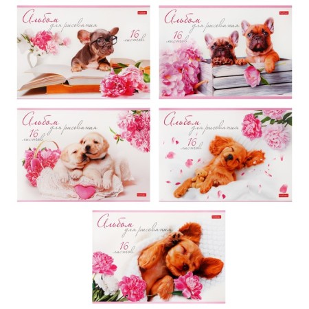 Album for drawing A4, 16 sheets "charming puppies", covered cardboard, block 100 g/m2, mix 5 types