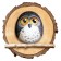 Volumetric application "Owl"