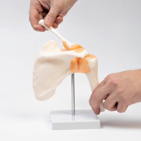 Mettle "shoulder joint" 23*15*15cm-1