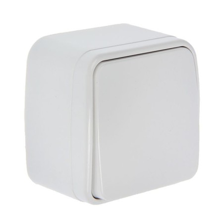 Switch Union "Electra", 10 a, 1 key, external, white