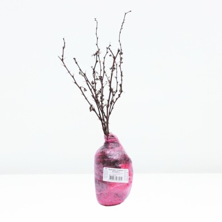 Barberry Tunberg Lux "Flamingo", tube, 1 pc, spring 2024-3