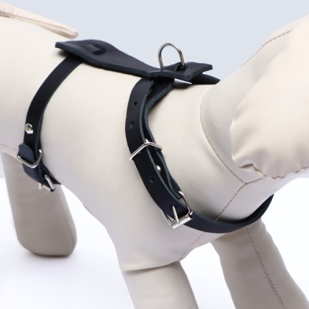 Leather harness, 1.2 cm, for cats and small breeds of dogs, Osh 26-34, OG 36-44, black-1