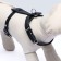 Leather harness, 1.2 cm, for cats and small breeds of dogs, Osh 26-34, OG 36-44, black