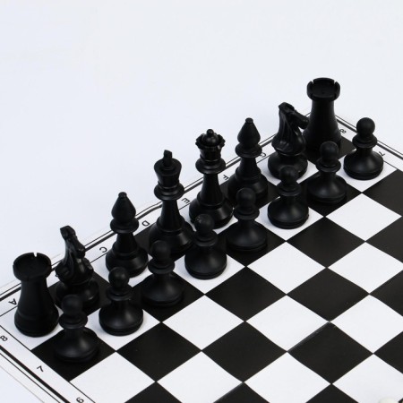 Board game 2 in 1: chess and checkers, plastic figures, cardboard 30 x 30 cm field-2