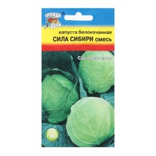 Cabbage seeds Beloka mixture 