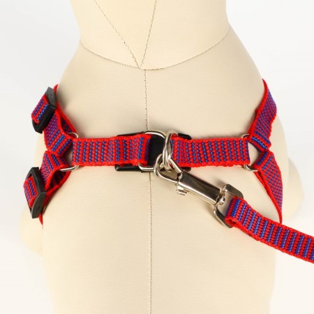 Acunition set is embossed, leash 120 x 1.5 cm, OG 36-49 cm, red-blue-3