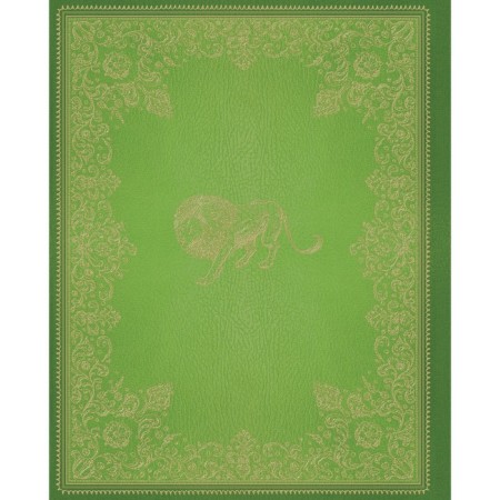 Leo, sorceress and wardrobe (color illustrations by Paulina Baines). Lewis Clive Steaples-1