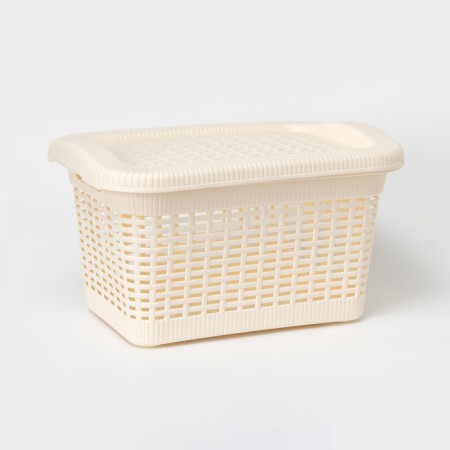 Storage basket with a lid, 20 l, 45 × 28 × 24 cm, color mix-2