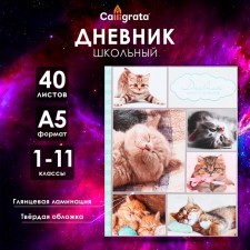 Universal diary for grades 1-11, 