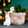 Kashpo-Organizer "Rabbit in Lukoshka" beige, 14x17x20 cm