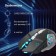 Mouse call 770GW black/optical silver (3600DPI) wireless USB for a laptop (6BU 107487