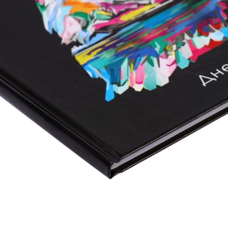 Diary for grades 5-11, "Neon. Owl", solid cover 7BC, glossy lamination, 48 sheets-3