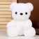 Soft toy "Bear", 23 cm, white color