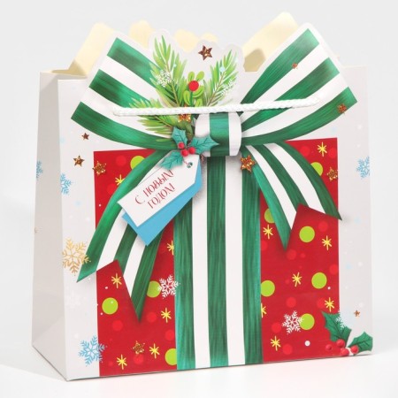 Package Gift "Gift", 25 x 26 x 10 cm, New Year-1