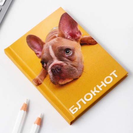 Notepad in solid cover A7, 64 liters "Dog"-3