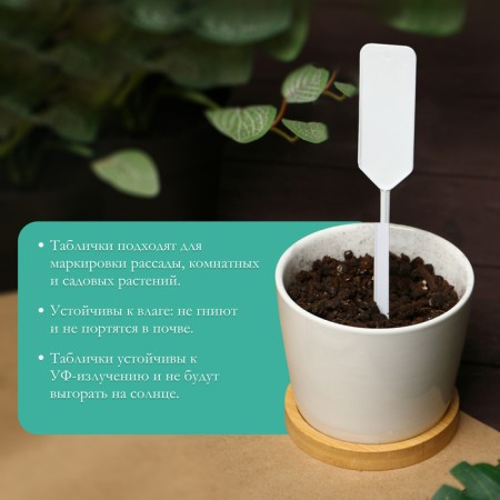 Garden signs for marking, 15 cm, with a pencil, set 20 pcs., Plastic-2