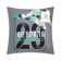 Pillow Ethel "Aircraft" 40x40 cm, velor, 100% p/e