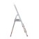 Strent of Encor 69650, aluminum, 3 steps