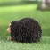 Garden figure "Hedgehog Tolstun" 17x10x8cm ////