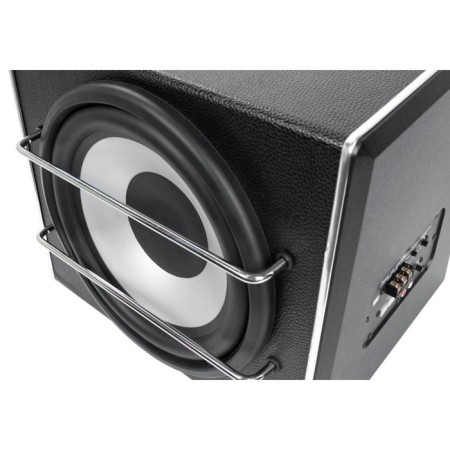 DIGMA DCS-100, 10 ", 220 W, active-1