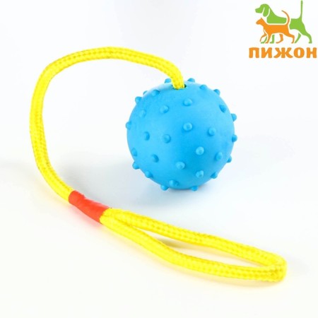 Toy ball on a rope, 6 cm, blue