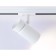 TRACKARY AMBRELLA TRACK SYSTEM GL5142, GU10, White Color