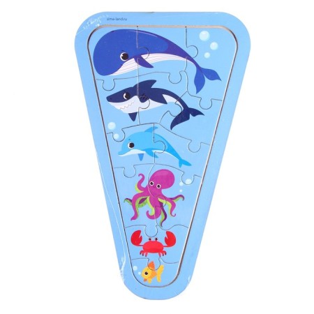 Puzzles on the “Sea” substrate-6