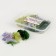 Set of dried flowers "moss", color mix