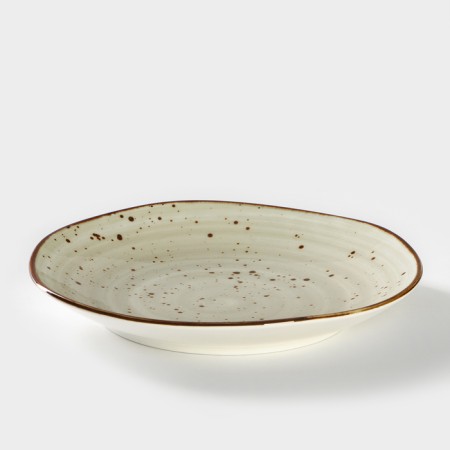 Porcelain plate Samold "Horecom Graphite", D = 21 cm-1