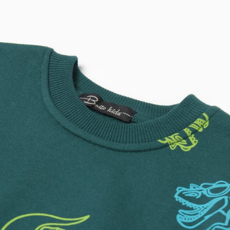 Sweatshirt for boys, emerald color/dino, height 116 cm-1