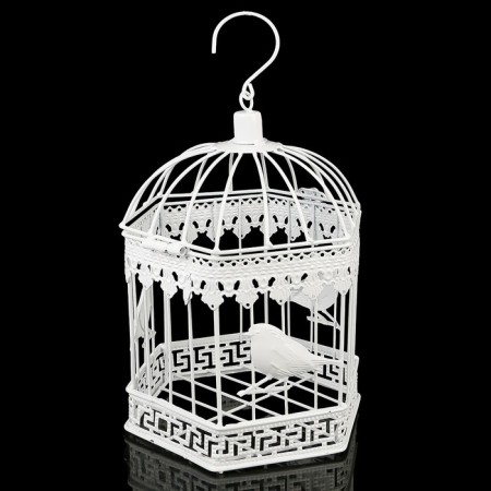 Hexagonal cell "birds", 30x18cm