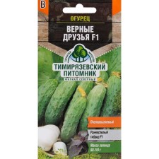 Cucumber seeds 