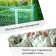 Garden grid, 1 × 5 m, rhombus cell 13 × 13 mm, for poultry houses, plastic, green, Greengo