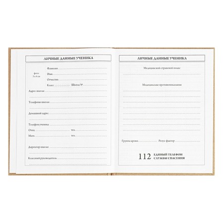 Universal Diary 5-11 classes, 48 ​​sheets "graffitist", craft, solid cover, foil embossing, block 65g/m2-4