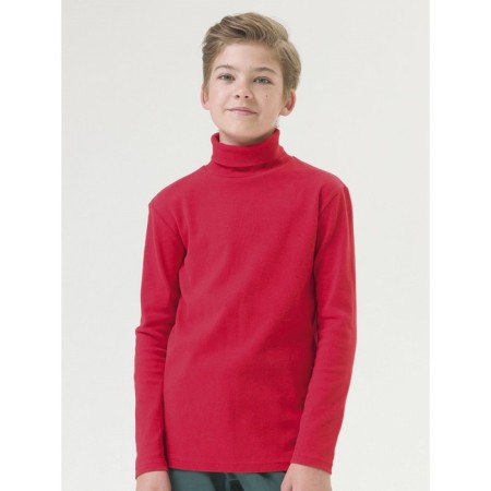 Turtleneck for the boy Pelican, height 134 cm, red color