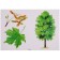 GEF. The world in pictures. Trees and leaves. Minisheva T.
