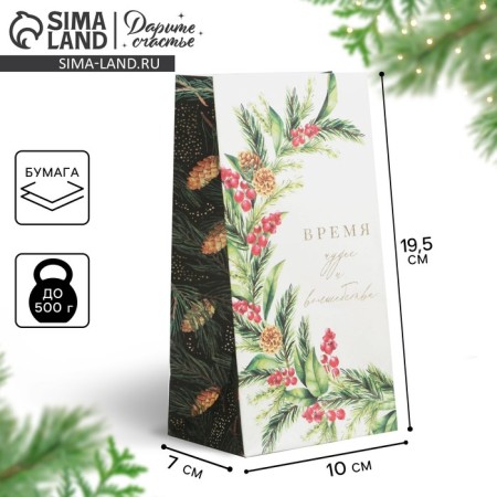 Package without pens "Time of Magic", 10 x 19.5 x 7 cm, New Year