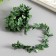 Braid plastic, metal "green leaves" width 2 cm winding 2 meters