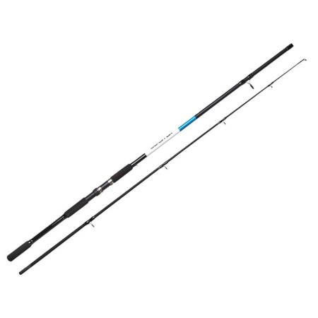 Spinning Salmo Blaster Spin 80, test 20-80 g, length 2.7 m