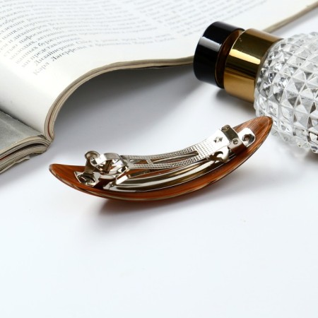 Hair hair clip "Adele" Structure, 10 cm, mix-2