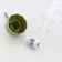 Drill for rodents, 250 ml, fastening-spring, green