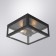 Street ceiling lamp Arte Lamp Belfast A4569PF-2BK, E27, 2x60 W, 29x29x13 cm, black
