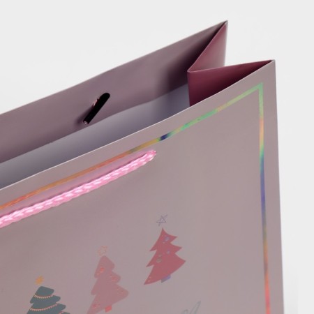 Holographic vertical package “Moments”, 26 x 32 x 9 cm, New Year-5