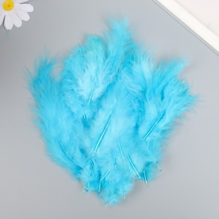A set of feathers for creativity 30 pcs (14-17 cm), blue