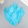 A set of feathers for creativity 30 pcs (14-17 cm), blue