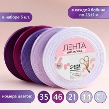 A set of satin ribbons, 5 pcs, size 1 tape: 10 mm × 23 ± 1 m, color violet spectrum